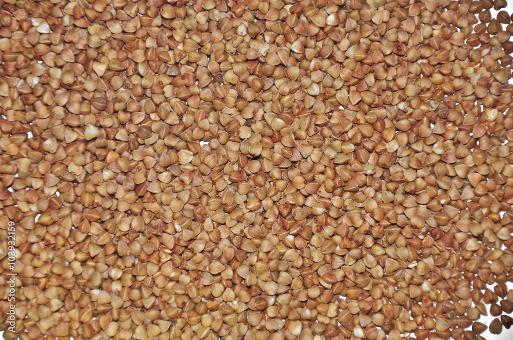 Buckwheat Buckwheat