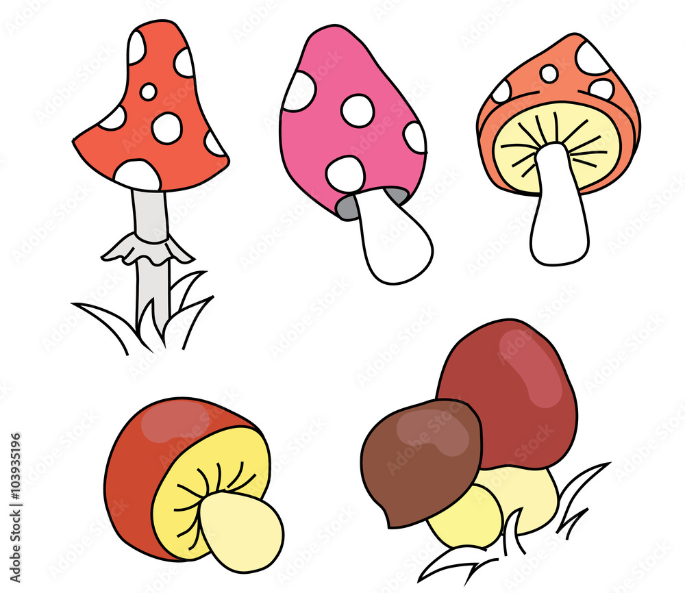 Collection of cartoon different mushrooms. Collection of cartoon different mushrooms.