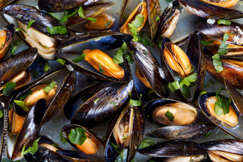 Mussels in garlic butter sauce. background