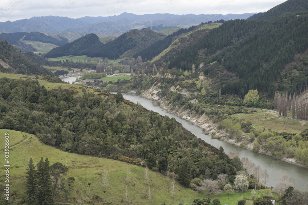 Hermoso río entre colinas verdes, Isla Norte de Nueva Zelanda.