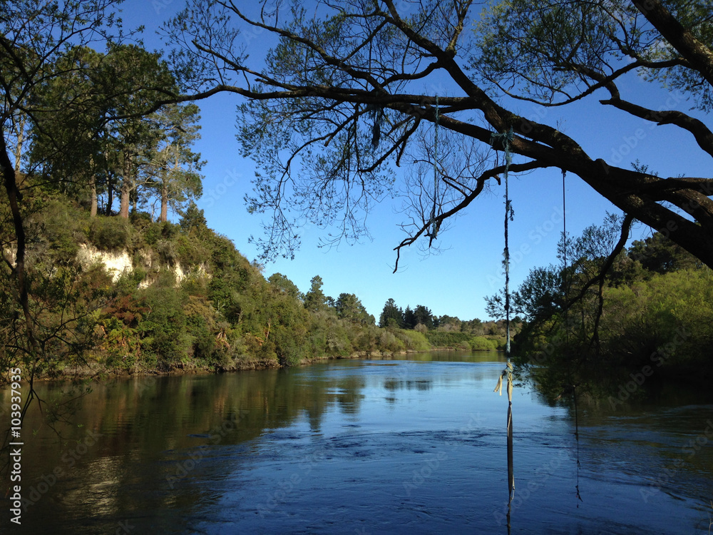 Río con aguas tranquilas entre bosques. Isla Norte de Nueva Zelanda