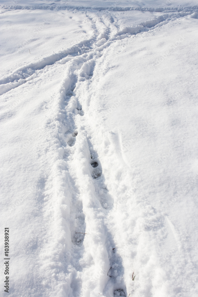 path in the snow on the nature