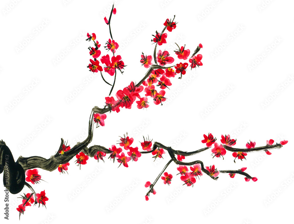 A branch of a blossoming tree. Pink flowers of sakura . Watercolor painting. Isolated on white background.
