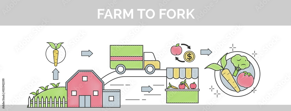From farm to fork flat vector thin line scribble header banner illustration. Sows how organic food makes its way from farm to your plate.