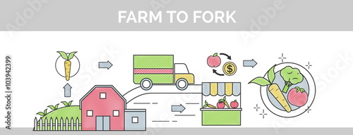 From farm to fork flat vector thin line scribble header banner illustration. Sows how organic food makes its way from farm to your plate.