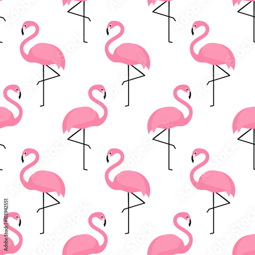 Flamingo seamless pattern on white background. Flamingo vector background design for fabric and decor.