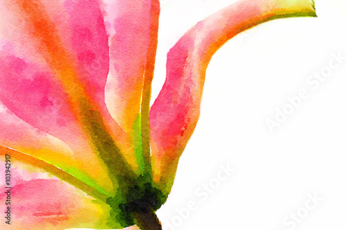 Behind The Lily
