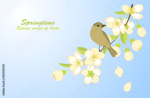 spring background with a bird