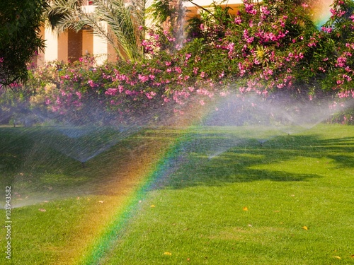 Obraz na płótnie watering sprinkler lawn w salonie