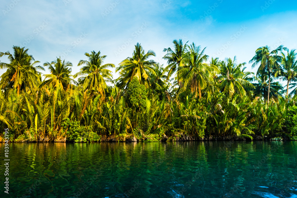 Palm trees on sea shore at beautiful sunny day. Palm trees on sea shore at beautiful sunny day.