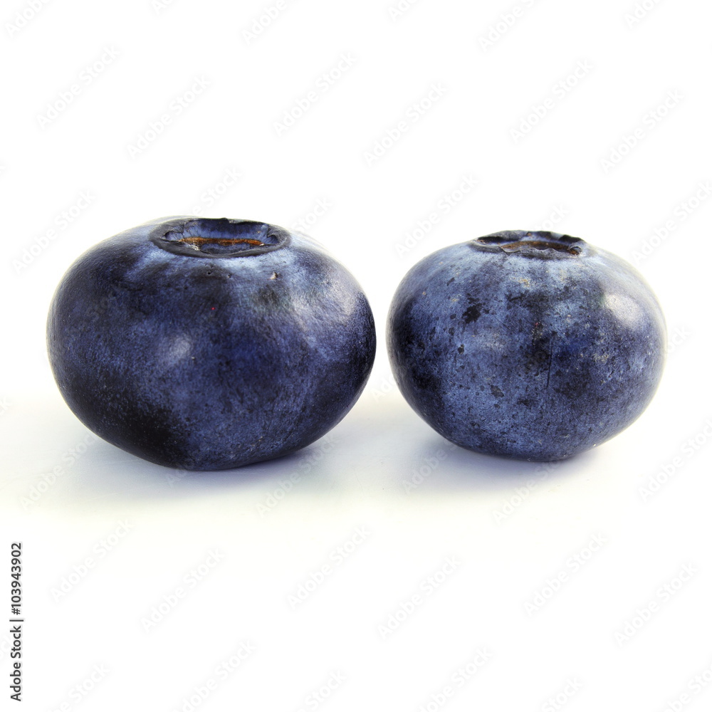 blueberries on white background blueberries on white background