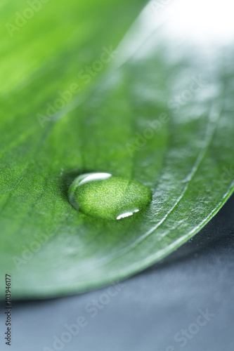 green concept with a single water drop