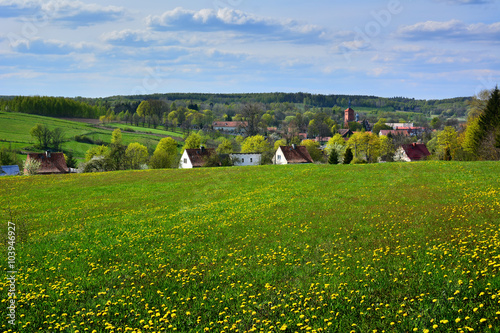 Fototapeta Naklejka Na Ścianę i Meble -  Spring country landscape