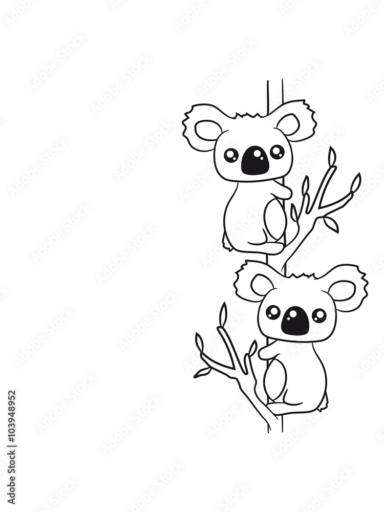 Fototapeta premium 2 sweet little cute koalas grapple buddies team couple of eucalyptus tree