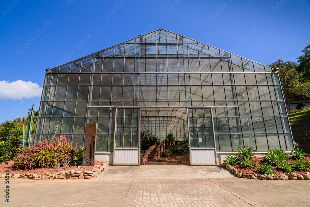 Green house , young plants growing in a very large plant nursery Green house , young plants growing in a very large plant nursery