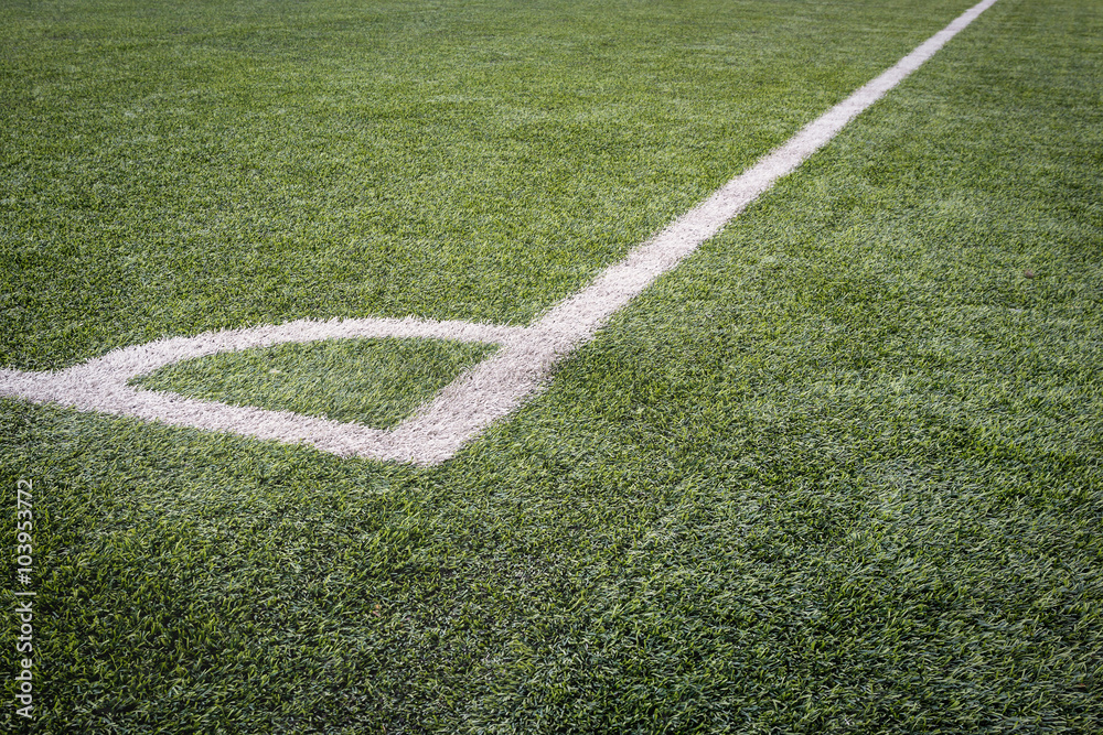 Green Grass Texture in Soccer Field