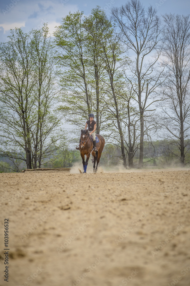 Woman Practicing on Hunter Jumper Horse in Ring Woman Practicing on Hunter Jumper Horse in Ring