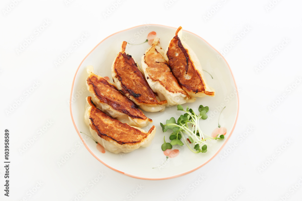 おいしそうな焼き餃子 おいしそうな焼き餃子