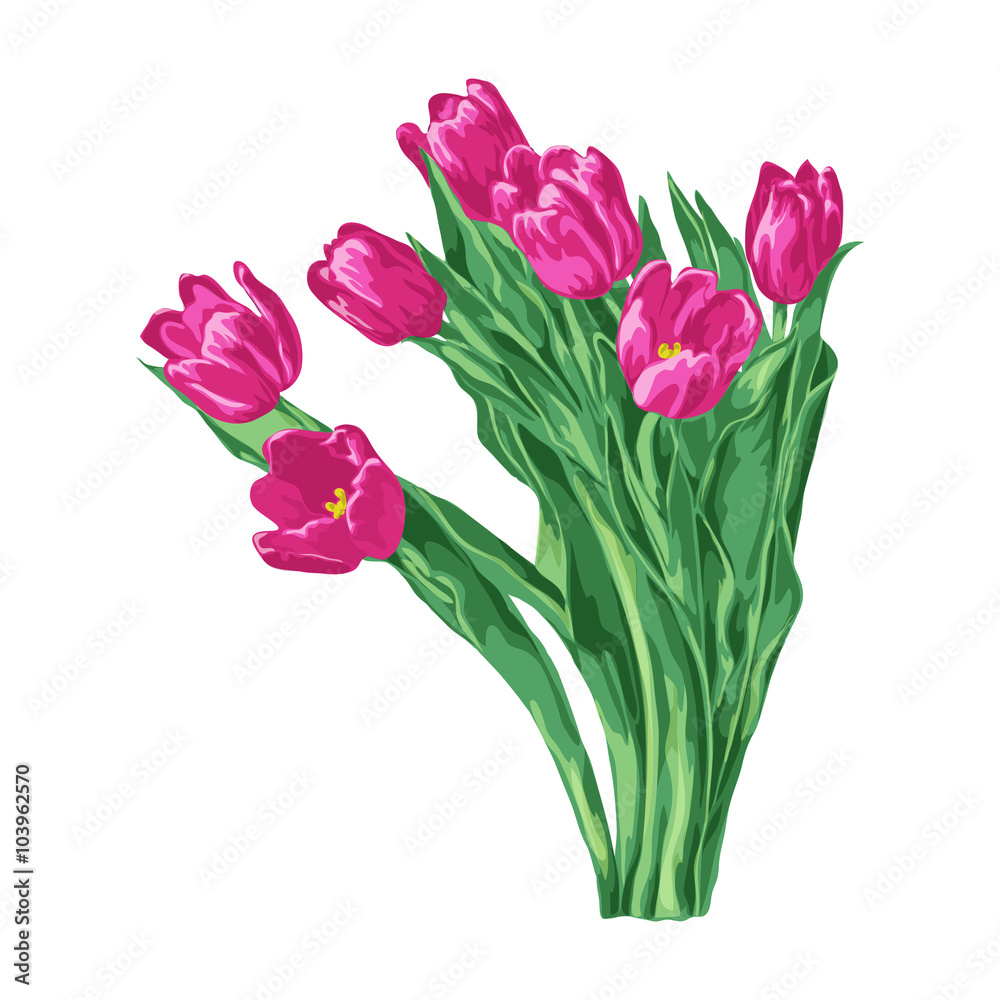 Fototapeta premium Отдельно стоящие тюльпаны