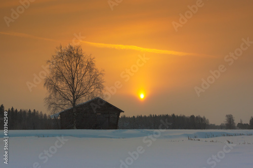 Orange Sunrise Sky photo