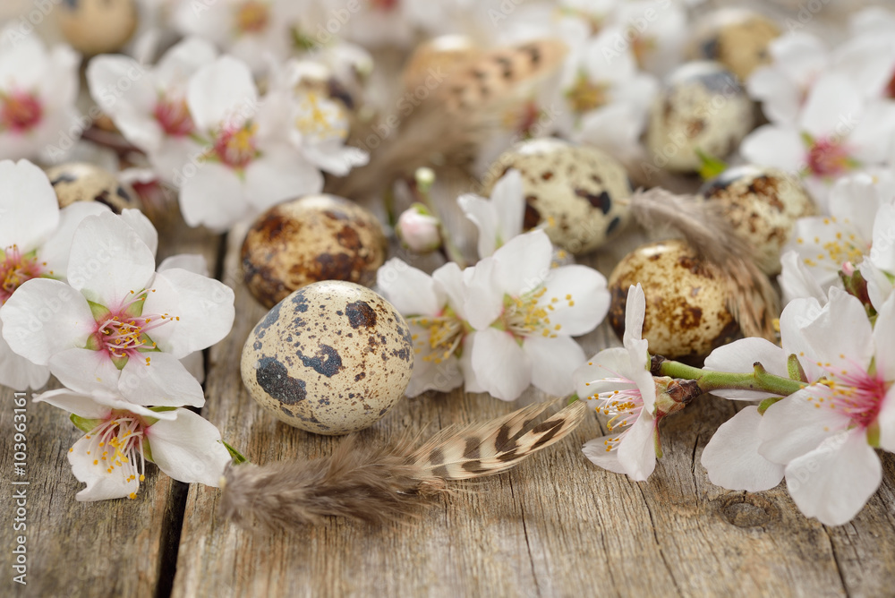 Flowering branches and eggs Flowering branches and eggs