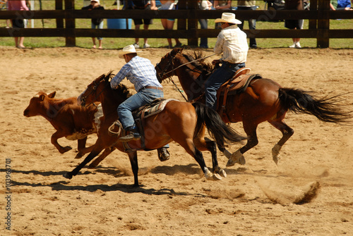 riders calf roping at rodeo