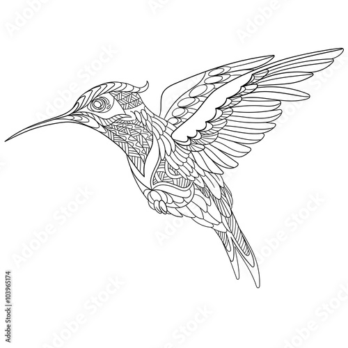 Zentangle stylized cartoon hummingbird, isolated on white background. Sketch for adult antistress coloring page. Hand drawn doodle, zentangle, floral design elements for coloring book.