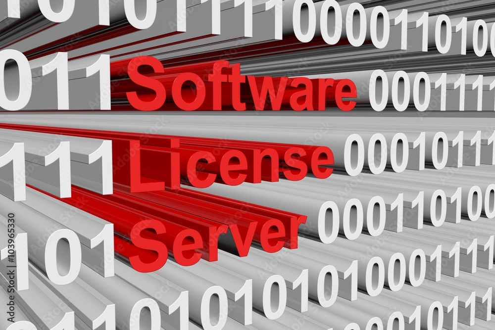 Software license server is presented in the form of binary code