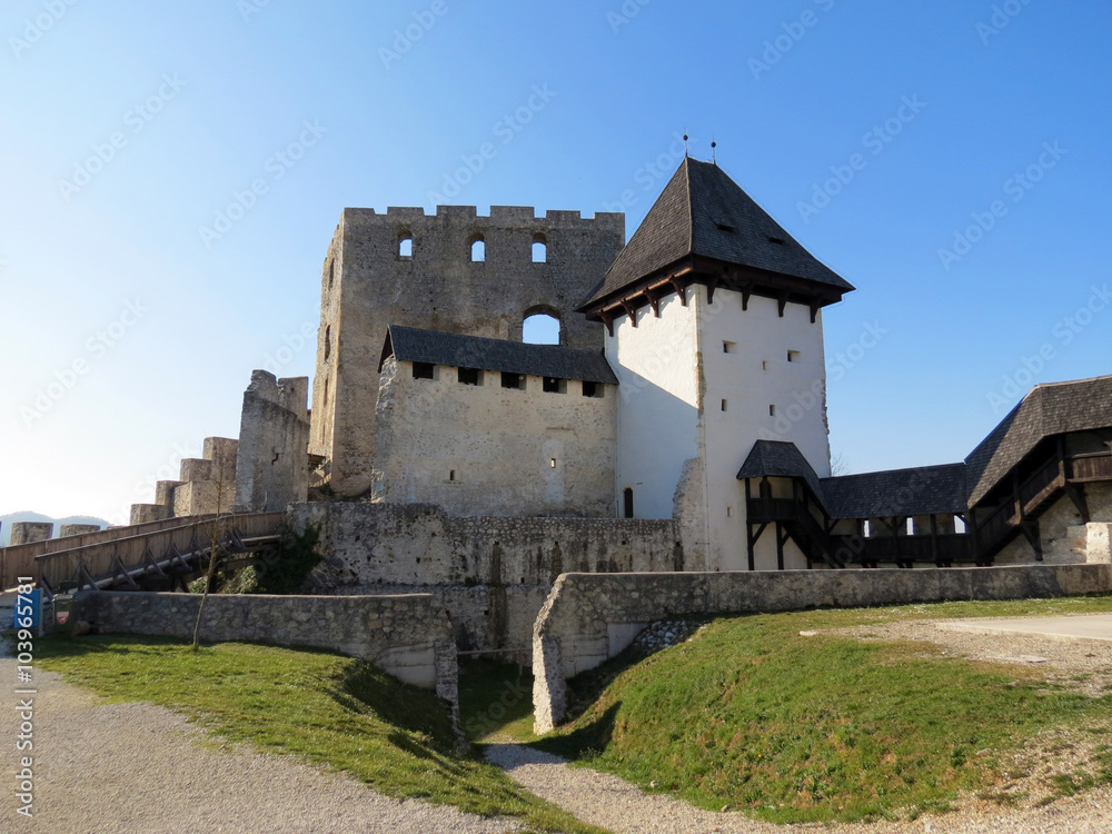 Celje Castle in Slovenia