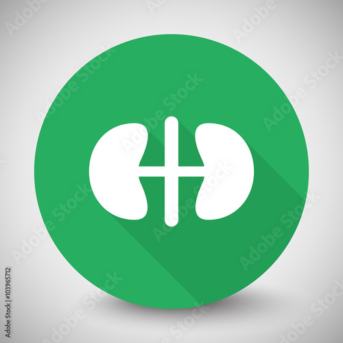 White Kidneys icon with long shadow on green circle