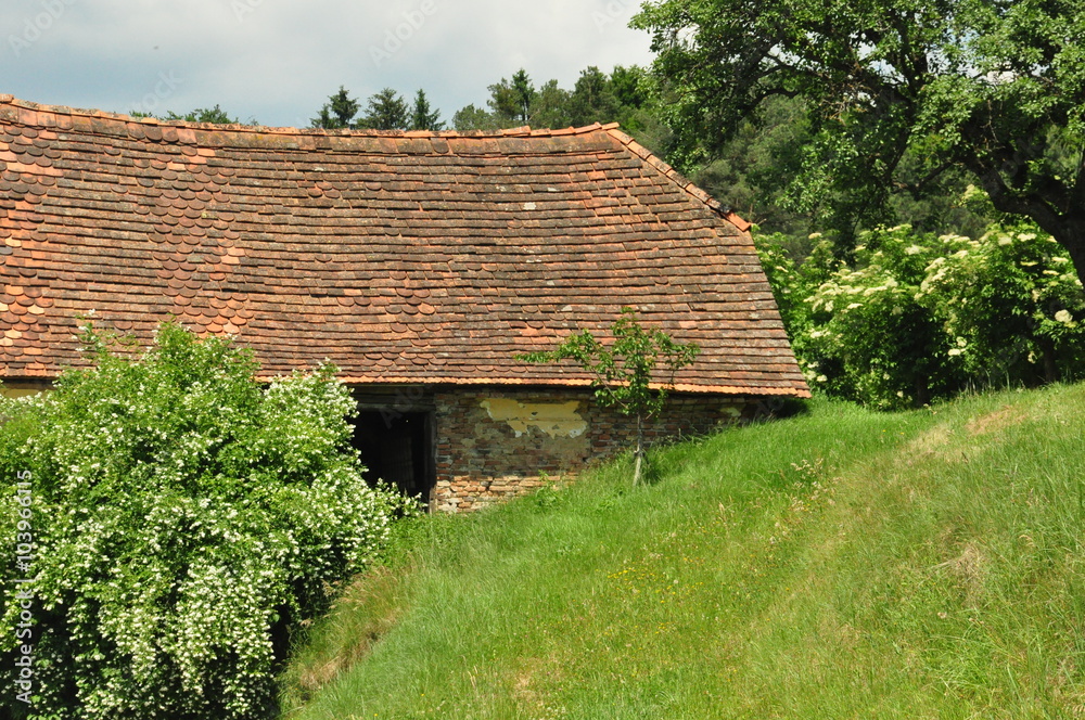 Old Farmhouse in Styria Old Farmhouse in Styria