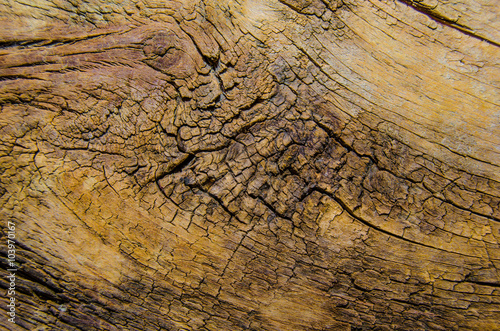 Wallpaper Mural Texture of old wood Torontodigital.ca