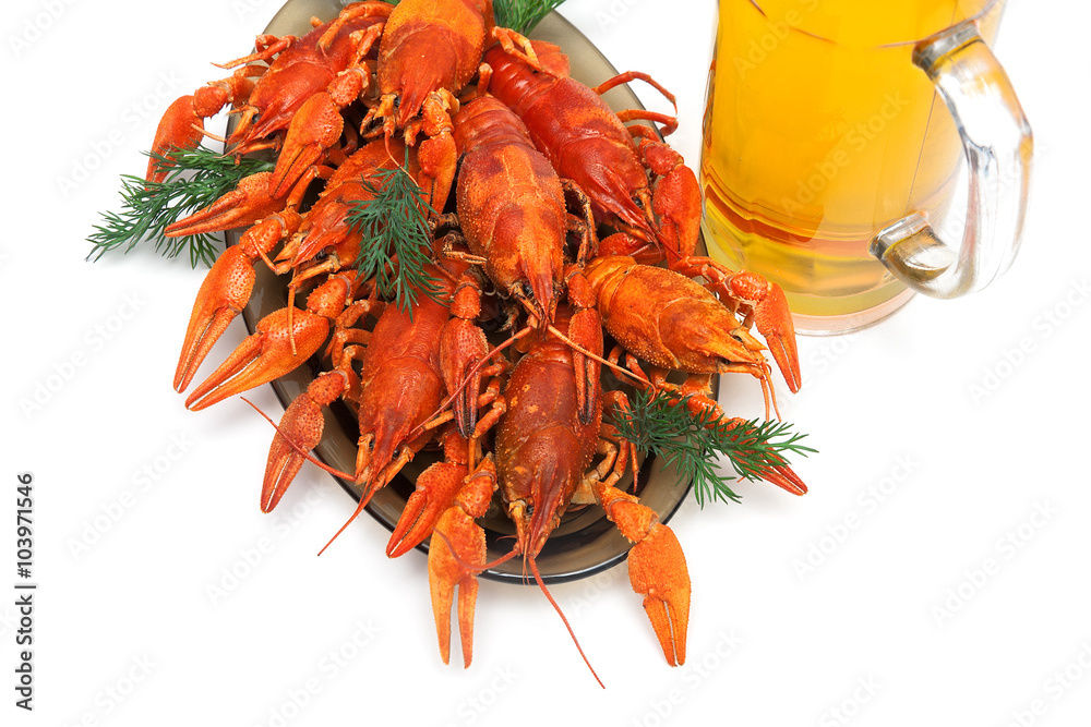 boiled crawfish and beer on a white background boiled crawfish and beer on a white background