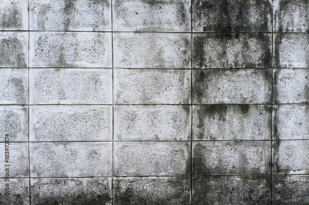 Fototapeta premium Old concrete wall