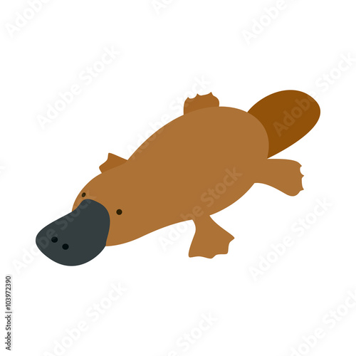 Australian platypus icon, isometric 3d style