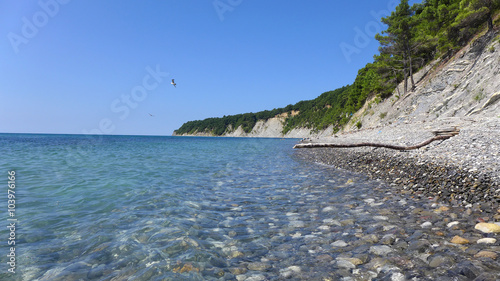 Black Sea Coast, Russia1 photo