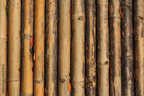 Vintage bamboo