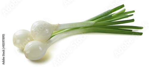 Green spring onion scallion 3 isolated on white background photo