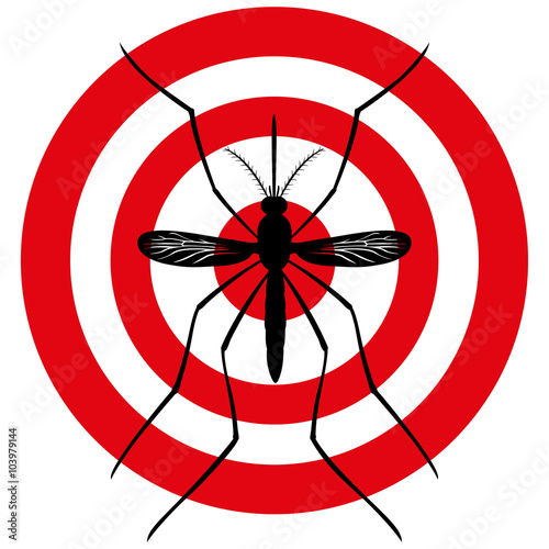 Nature, Mosquito silhouette stilt with sight signal or target, top view