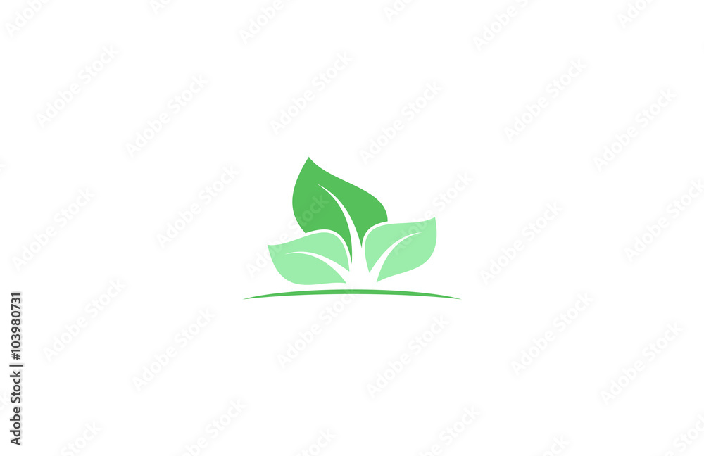 leaf eco green logo