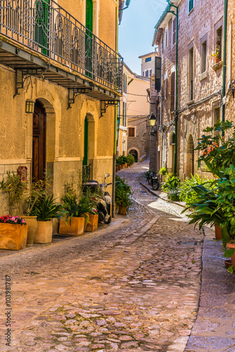 Fototapeta Naklejka Na Ścianę i Meble -  Beautiful view of an mediterranean alleyway with old buildings