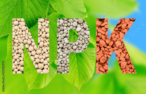 NPK letters made of mineral fertilizers