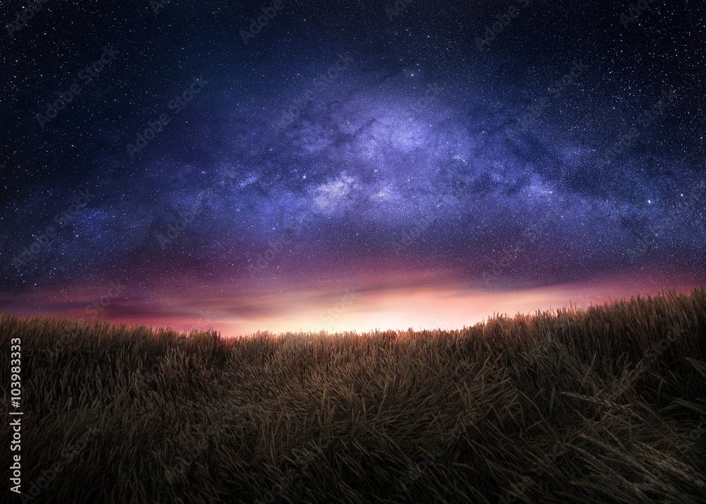 Night sky and the Milky Way above the field