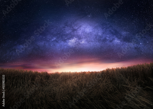 Night sky and the Milky Way above the field
