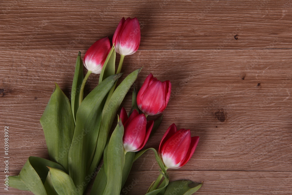 Tulips Tulips