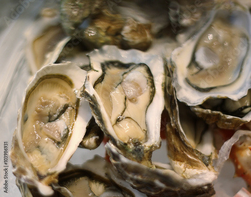 resh oysters on ice, selective focus, shallow DOF.