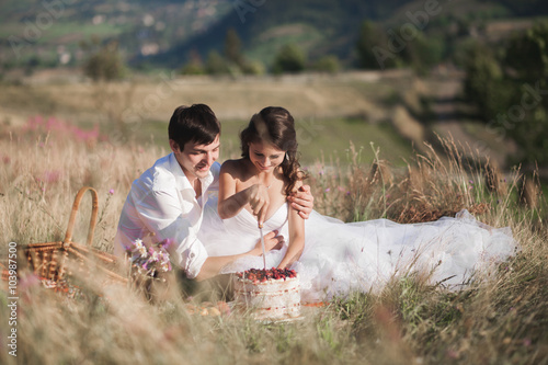 Beautiful wedding couple at picnic with fruit and cake on a background of mountains © olegparylyak