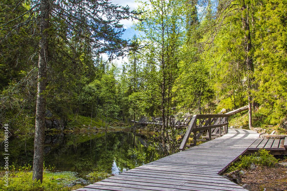 Obraz premium Wanderpfad im Pyhä-Luosto National Park - Finnland 2