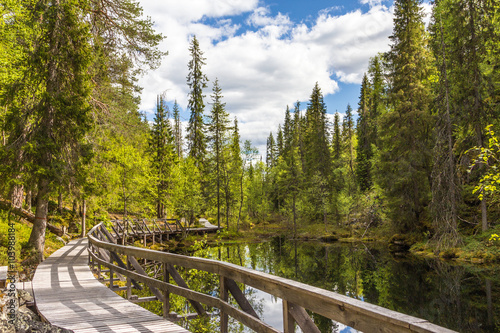 Wanderpfad im Pyhä-Luosto National Park - Finnland 3