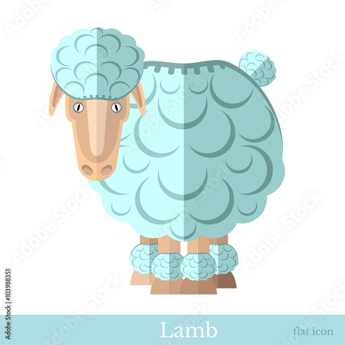flat lamb sheep isolated on white